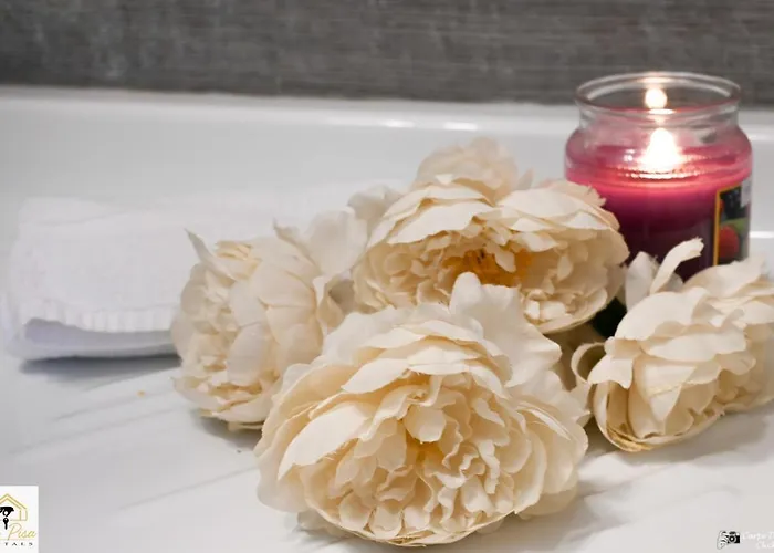 - Downtown Cozy 公寓